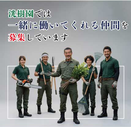 画像の説明文